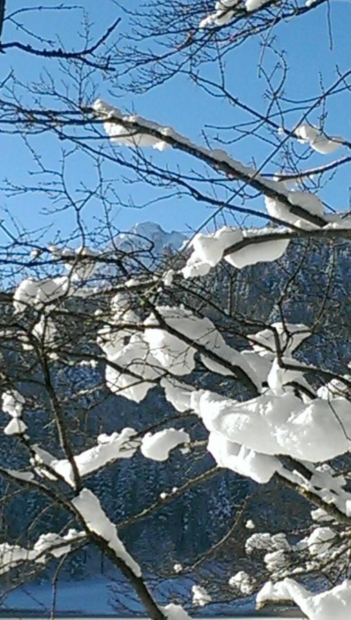 Fw Weissensee 44 Füssen Esterno foto