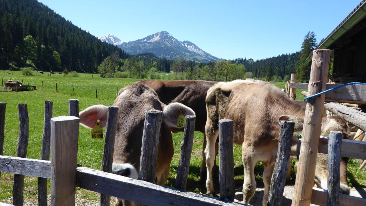 Fw Weissensee 44 Füssen Esterno foto