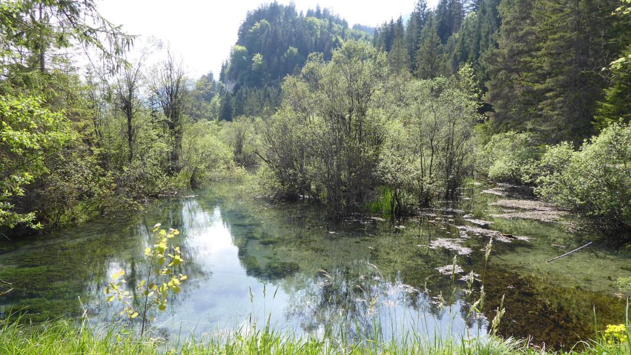 Fw Weissensee 44 Füssen Esterno foto