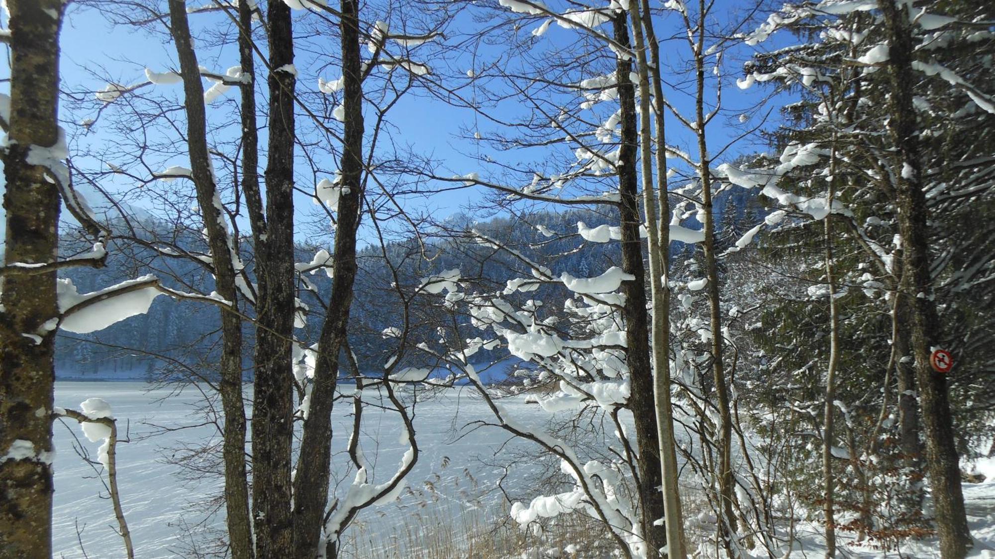 Fw Weissensee 44 Füssen Esterno foto